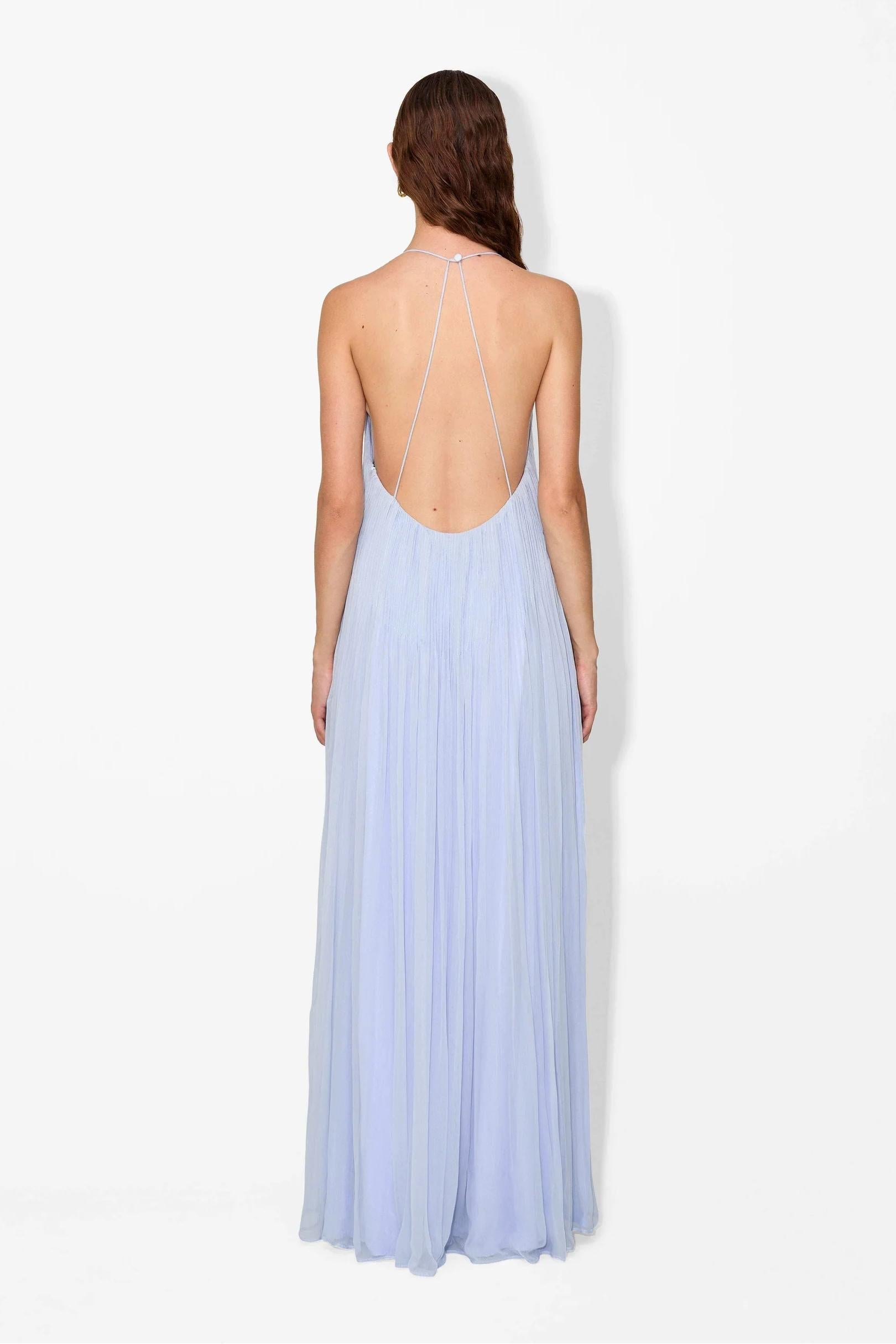 Haydin Maxi Dress - Hydrangea - Riviera London
