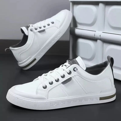 Belnor Trainers