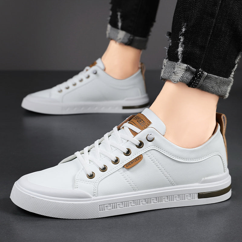 Belnor Trainers