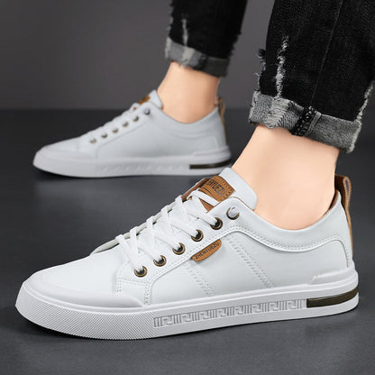 Belnor Trainers