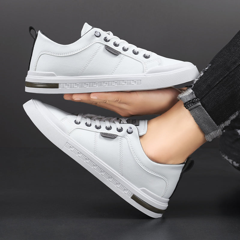 Belnor Trainers